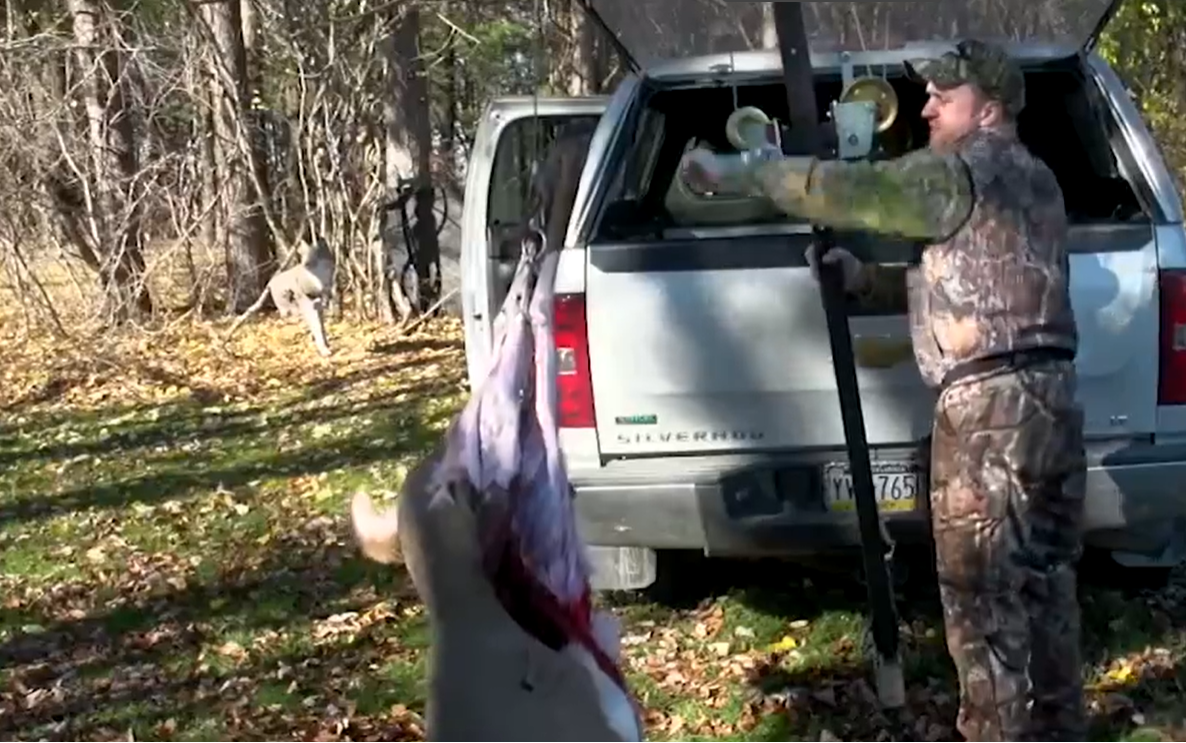 Koola Buck - Hide Ripper Deer Skinner Assembly